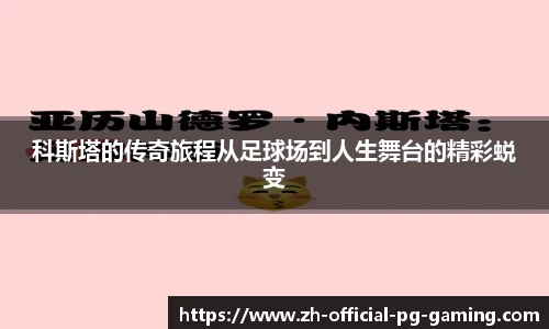 pg模拟器官网下载