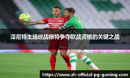 pg模拟器下载