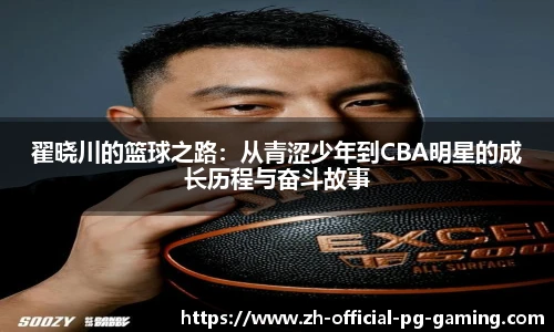 pg模拟器网址
