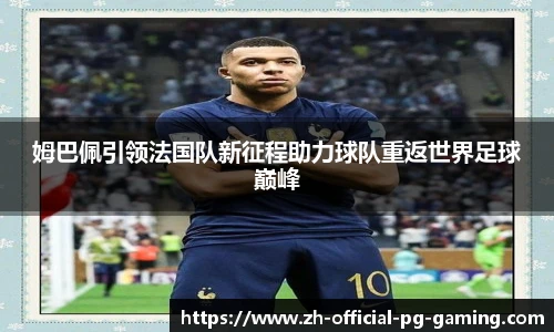 pg模拟器