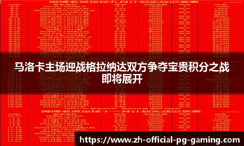 pg模拟器